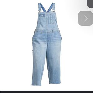 NWT Terra & Sky Women's Plus Size Blue Jeans W22